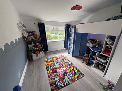 Picture 14
